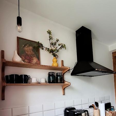 Vintage Anna Apartment Kuldiga Bagian luar foto