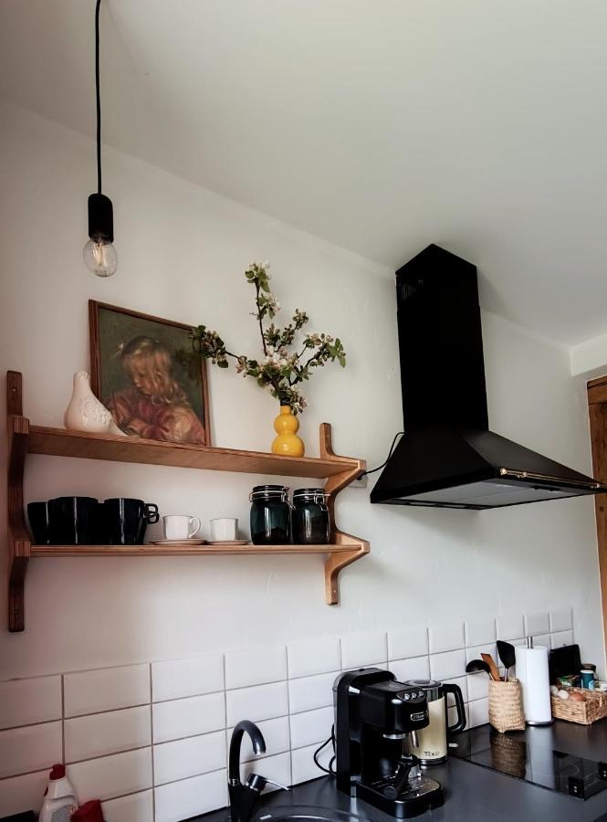 Vintage Anna Apartment Kuldiga Bagian luar foto